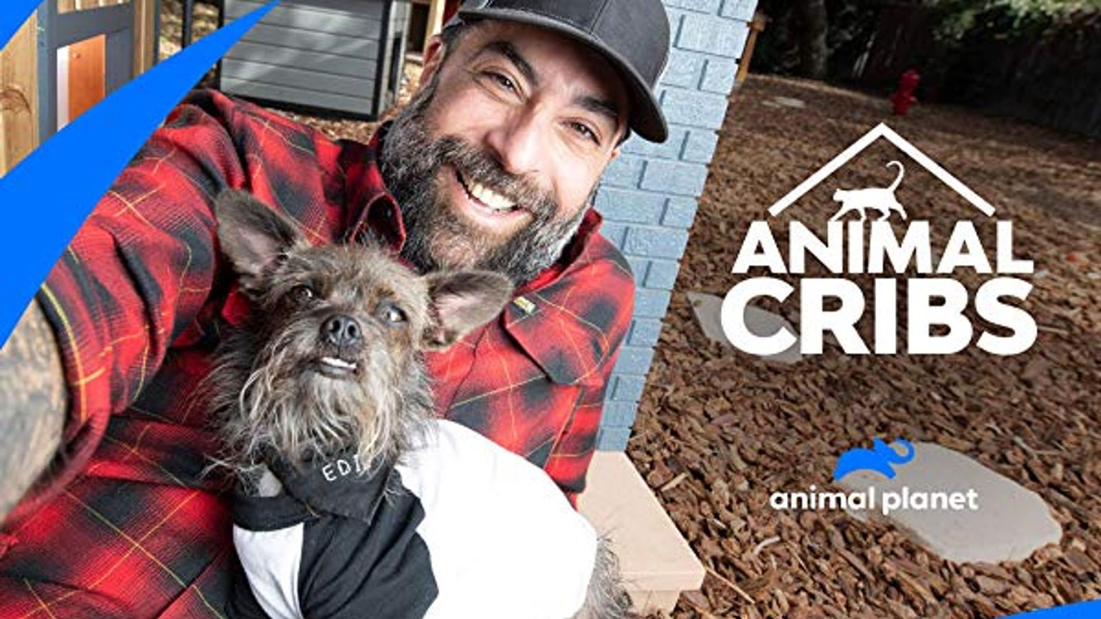Animal Cribs — key art