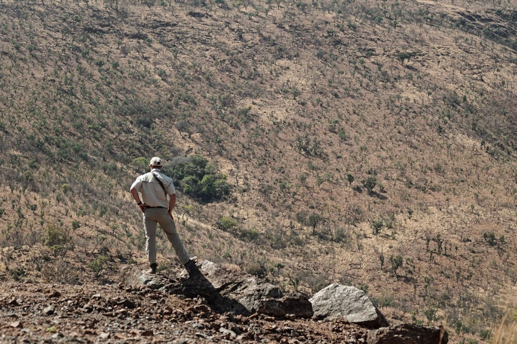A figure standing on a hillside in the field